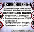 Уничтожение всех видов насекомых